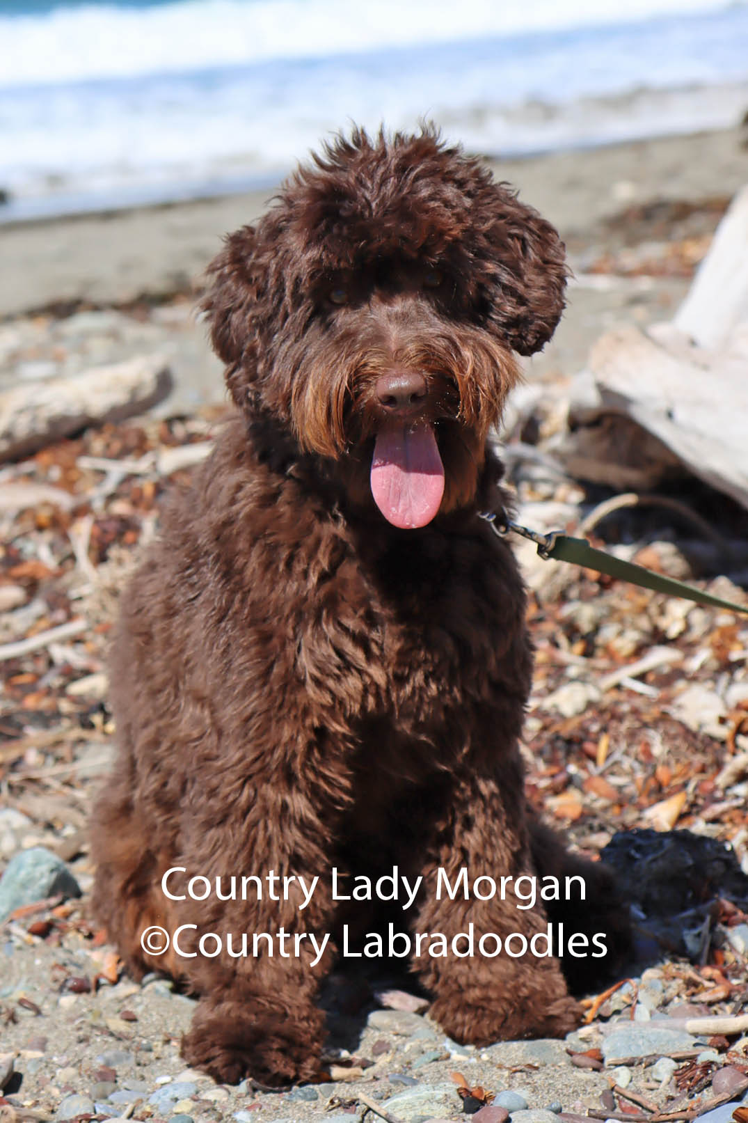 Morgan 080725 05